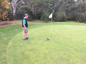 Obstruction on the course