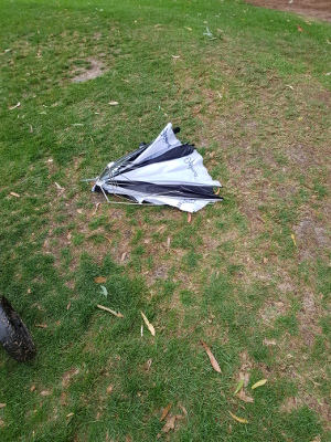 Dead umbrella