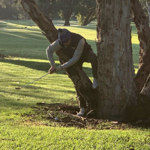 Brendon up a tree